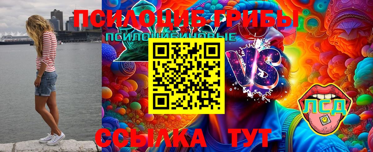 Псилоцибиновые грибы прущие грибы  Вход с VPN  Псилоцибиновые грибы GOLDEN TEACHER  Аргун 